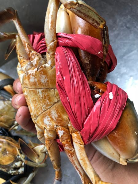 Ảnh bìa HẢI SẢN THỦY VŨ