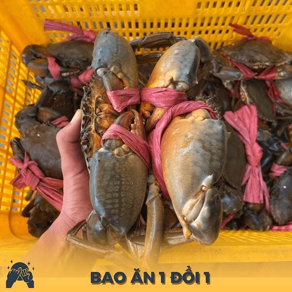 Hình ảnh Hải Sản Cua Việt - 6