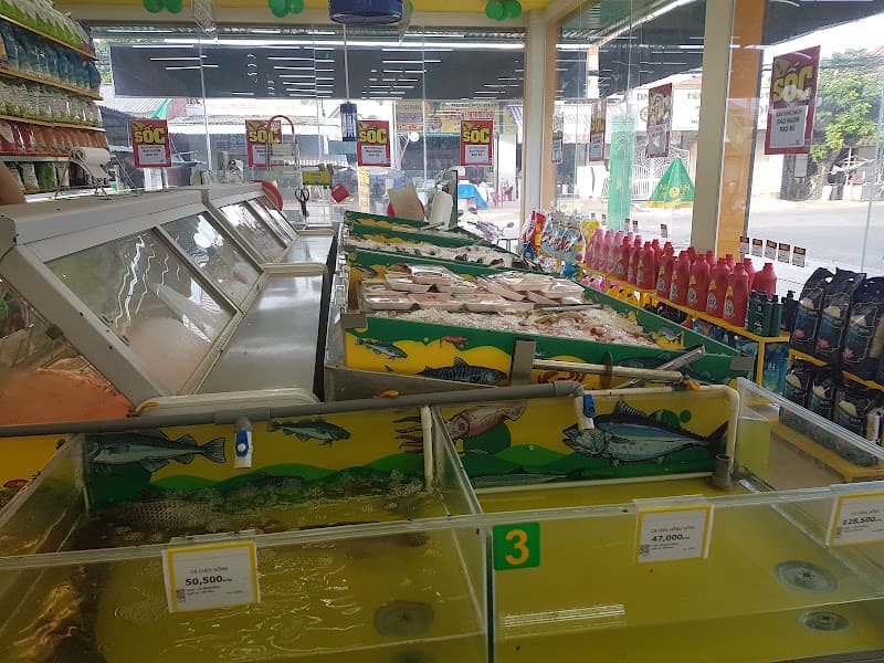 Hình ảnh Siêu thị Bách hóa XANH Đường ĐH20 - 3