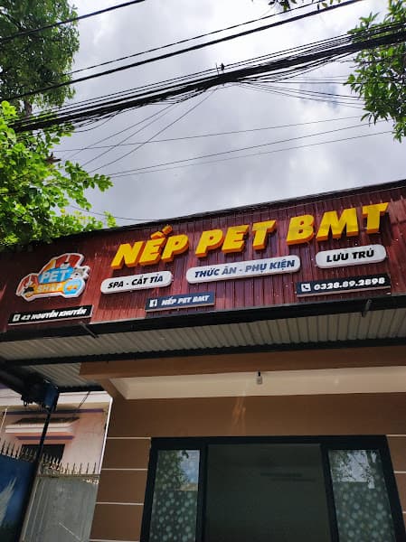 Hình ảnh Nếp Pet Bmt - 5