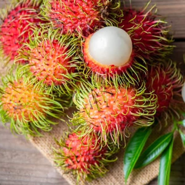 Ảnh bìa Vườn trái cây Tây Nguyên đại ngàn