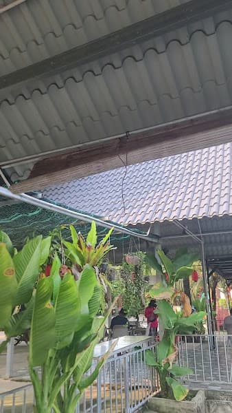 Hình ảnh Cà phê sinh thái Thảo Nguyên - 3