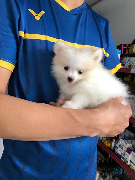 Hình ảnh Phòng Khám Thú Y Sunshine Pet - 3