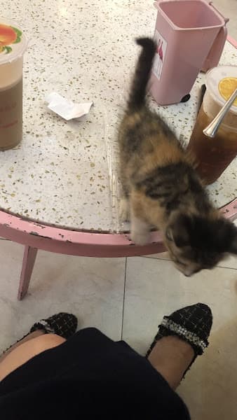 Hình ảnh Bệnh viện thú y EraVet - 5