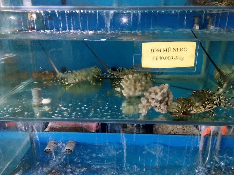 Hình ảnh NHÀ HÀNG HẢI SẢN CUA ĐỎ - 2