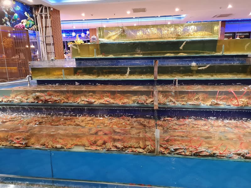 Buffet Hải Sản - Hp3 Seafood