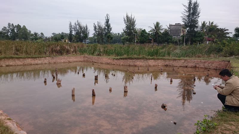 Bãi cọc Yên Giang-Bạch Đằng