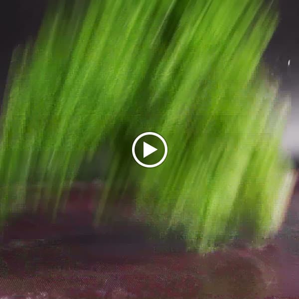 Hình ảnh S&L's Diner Duong Thanh - 6