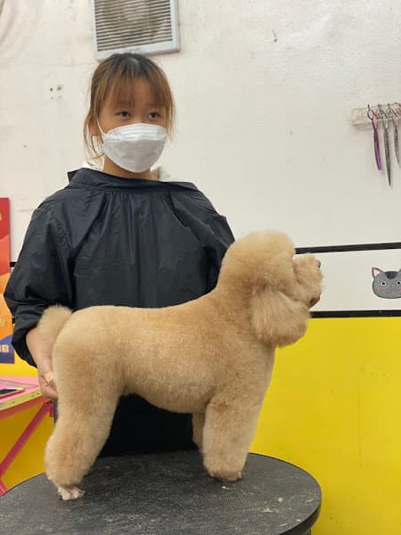 Hình ảnh Phòng khám thú y Huệ Pet - 4