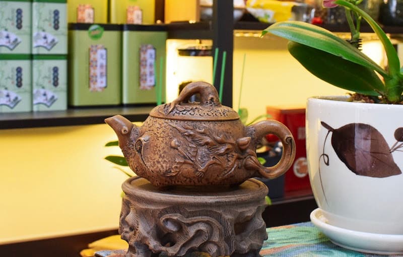 Hình ảnh Trần Ký Trà - 5