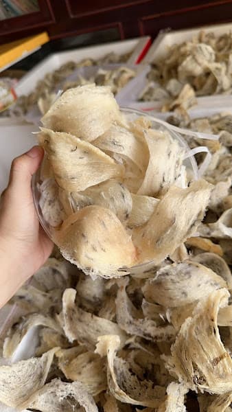 Hình ảnh Yến Sào Mai Nhi - 2