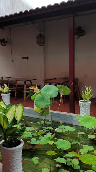 Hình ảnh TỊNH BÌNH CHAY - 3