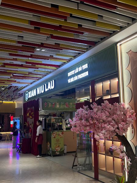 Hình ảnh XIAN NIU LAU BUFFET LẨU BÒ TƯƠI TRIỀU CHÂU - 2