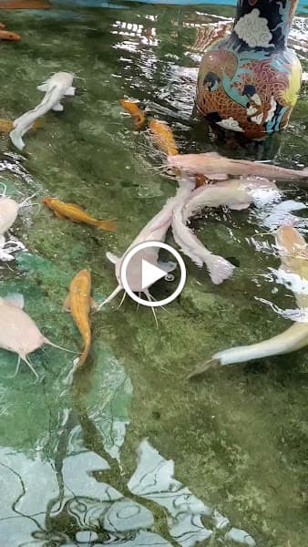 Hình ảnh Cà Phê TĨNH LẶNG - 3
