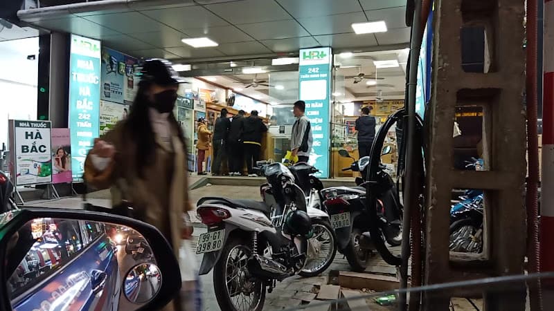 Hình ảnh Nhà Thuốc Hà Bắc - sâm Nhung bổ thận Tw3 Platium - 5