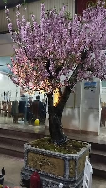 Hình ảnh Nhà Hàng Cá Hồi Tám Béo - 6