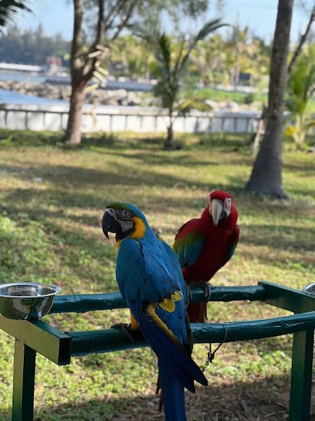 Hình ảnh NAM ANH PICKLEBALL - Phú Gia - 2