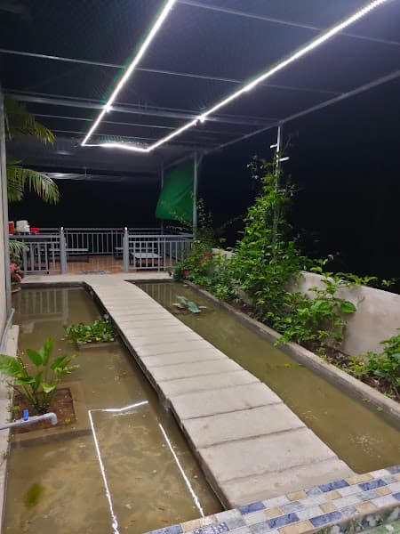 Ảnh bìa High Coffee