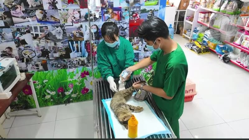 Hình ảnh Phòng khám thú y Sam Pet - 2