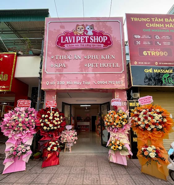 Shop Thú Cưng Lavi Pet House | Địa Chỉ Bán Chó Mèo Cảnh & Thú Cưng Uy Tín