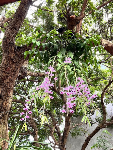 Hình ảnh Karaoke Xuân Phương Royal - 3