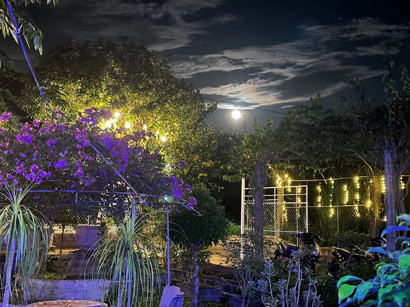 Cafe. Karaoke hương ngàn