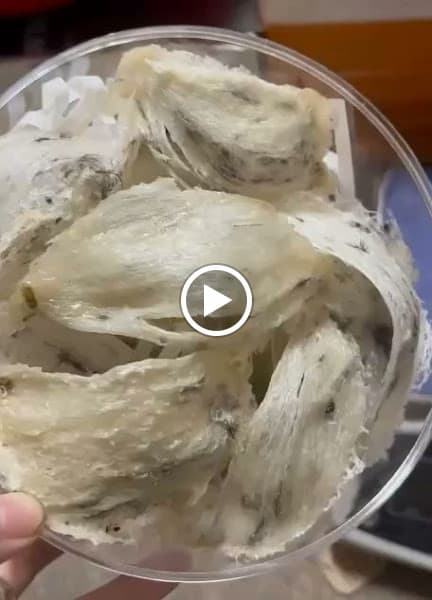 Hình ảnh Yến sào Kim Sang - 3