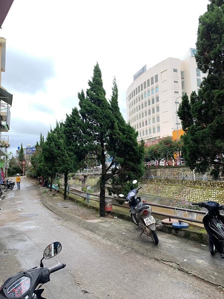 Hình ảnh Tiệm làm tóc Nam - Nữ Minh Lý - 3