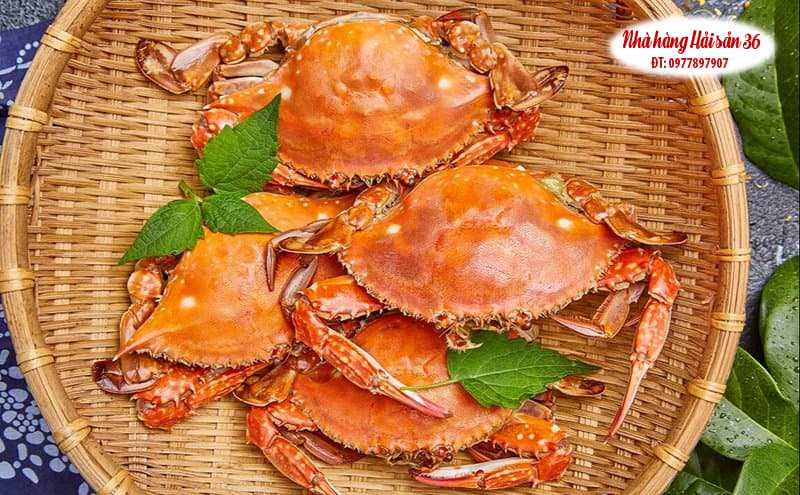 Hình ảnh Hải Sản 36 Sầm Sơn - 5