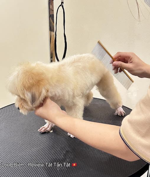 Hình ảnh Cuddle Pet Spa & Hotel - 2