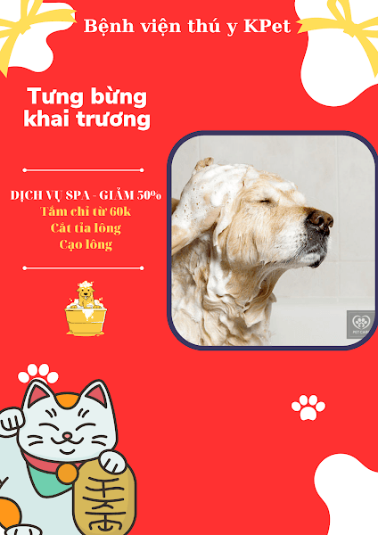 Hình ảnh Bệnh viện Thú y K-Pet - 7