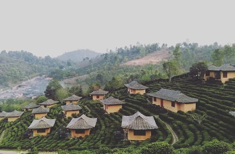 Hình ảnh Tea Homestay - 3