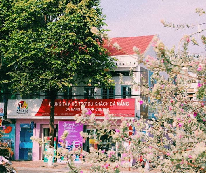 Ảnh bìa Trung tâm Hỗ trợ Du khách Đà Nẵng
