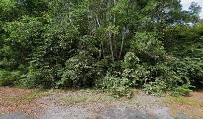 Ảnh bìa Khu Di tích Bời Lời