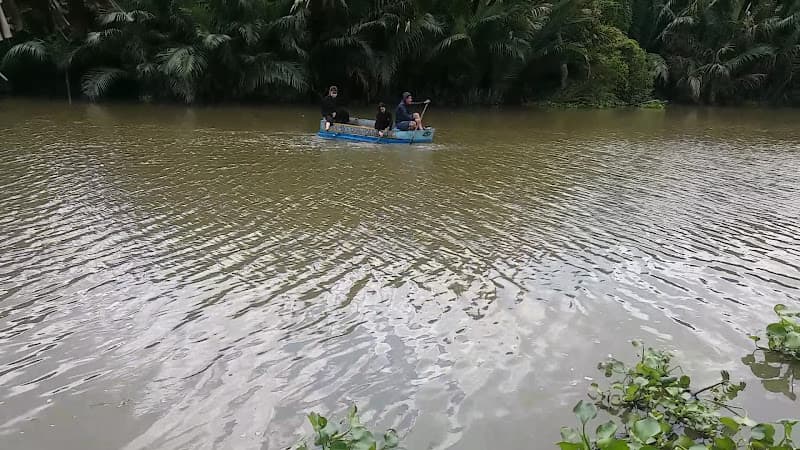 Hình ảnh Quán Hoa Bằng Lăng - 5