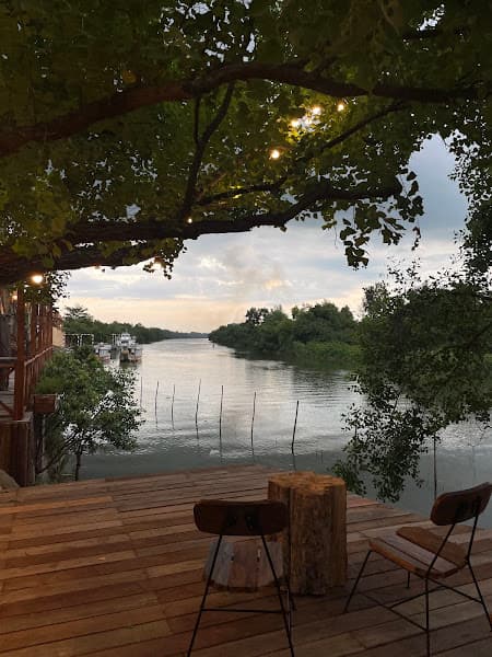 Hình ảnh Khu Rừng Nhỏ Cafe - Little Forest - 6