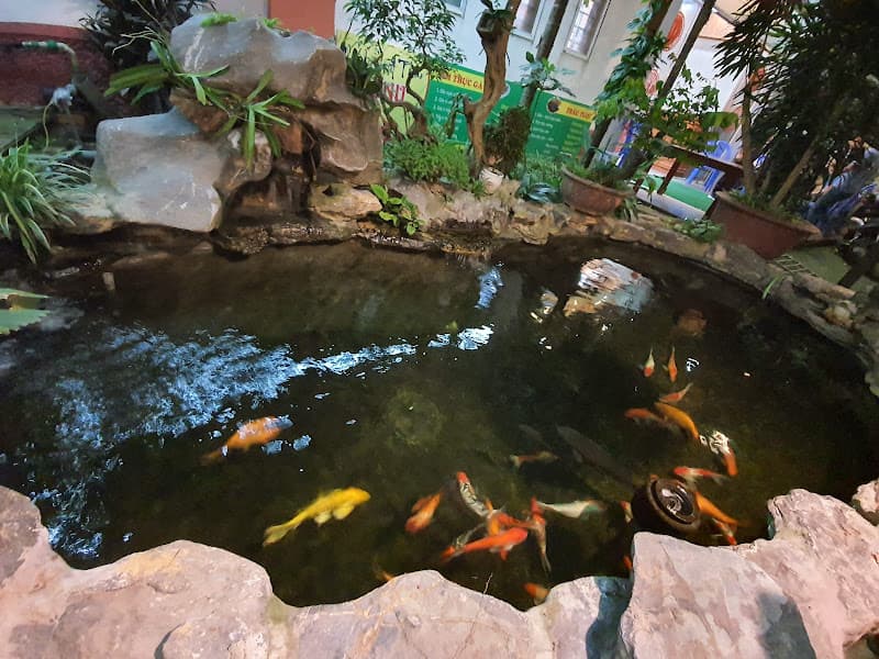 Hình ảnh Nhà Hàng A Thảo Gà Trâu Cá - 3