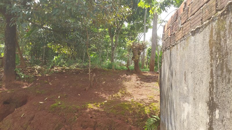 Hình ảnh Bia di tích lịch sử Chư Bồ-Đức Cơ - 3