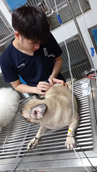 Hình ảnh PHÒNG KHÁM THÚ Y H-VET BUÔN HỒ - 2