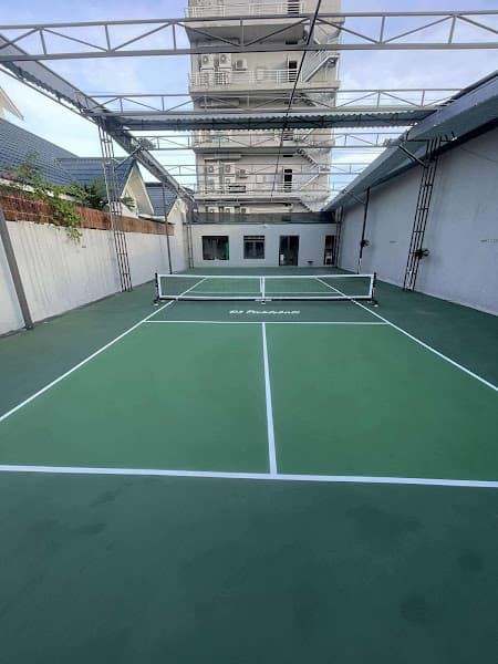 Hình ảnh D3 Pickleball - 4