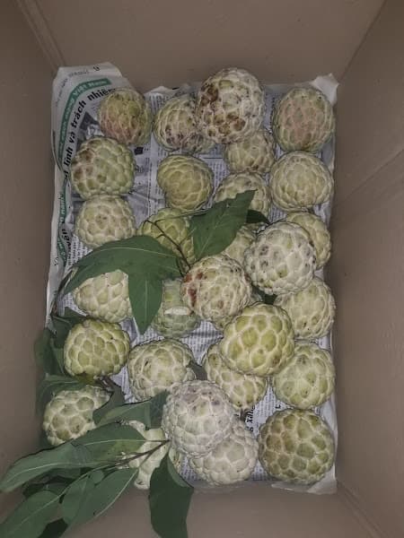 Hình ảnh Di Tích núi Kỳ Lân - 2