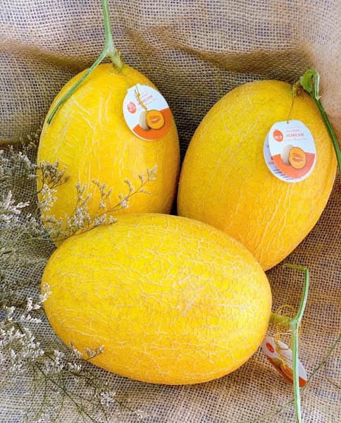 Hình ảnh Sinh Tố, Nước Ép, Trái Cây Sạch- Hoa Quả Xanh Fruits & Juices - 3