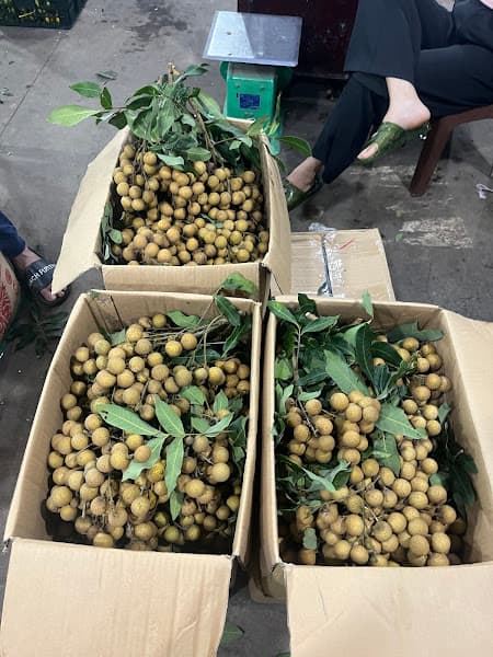 Hình ảnh Vựa trái cây Bé Đông Quảng Ngãi - 2
