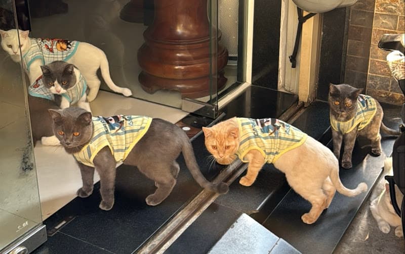 Hình ảnh Wannapet House Đà Nẵng - 4