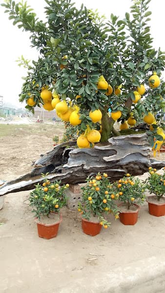 Hình ảnh Karaoke Fantasy - 4