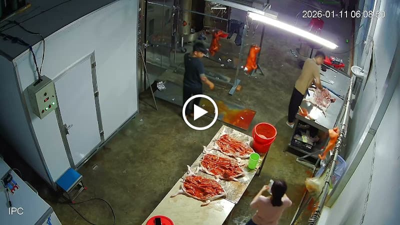 Hình ảnh Heo quay Ánh Dương - Châu Đốc An Giang - 2