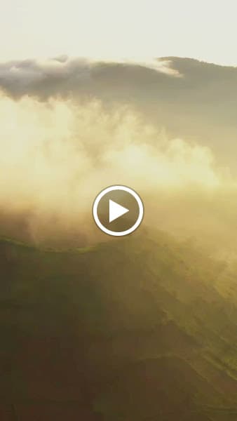 Hình ảnh Tiệm nướng La La Land - 2