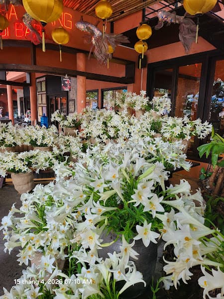 Hình ảnh Ơi Nha Trang Restaurant - 7