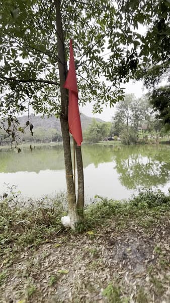 Hình ảnh Đền Đồng Cổ - 4