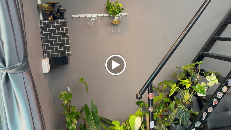 Hình ảnh Chaos Barber House - 3